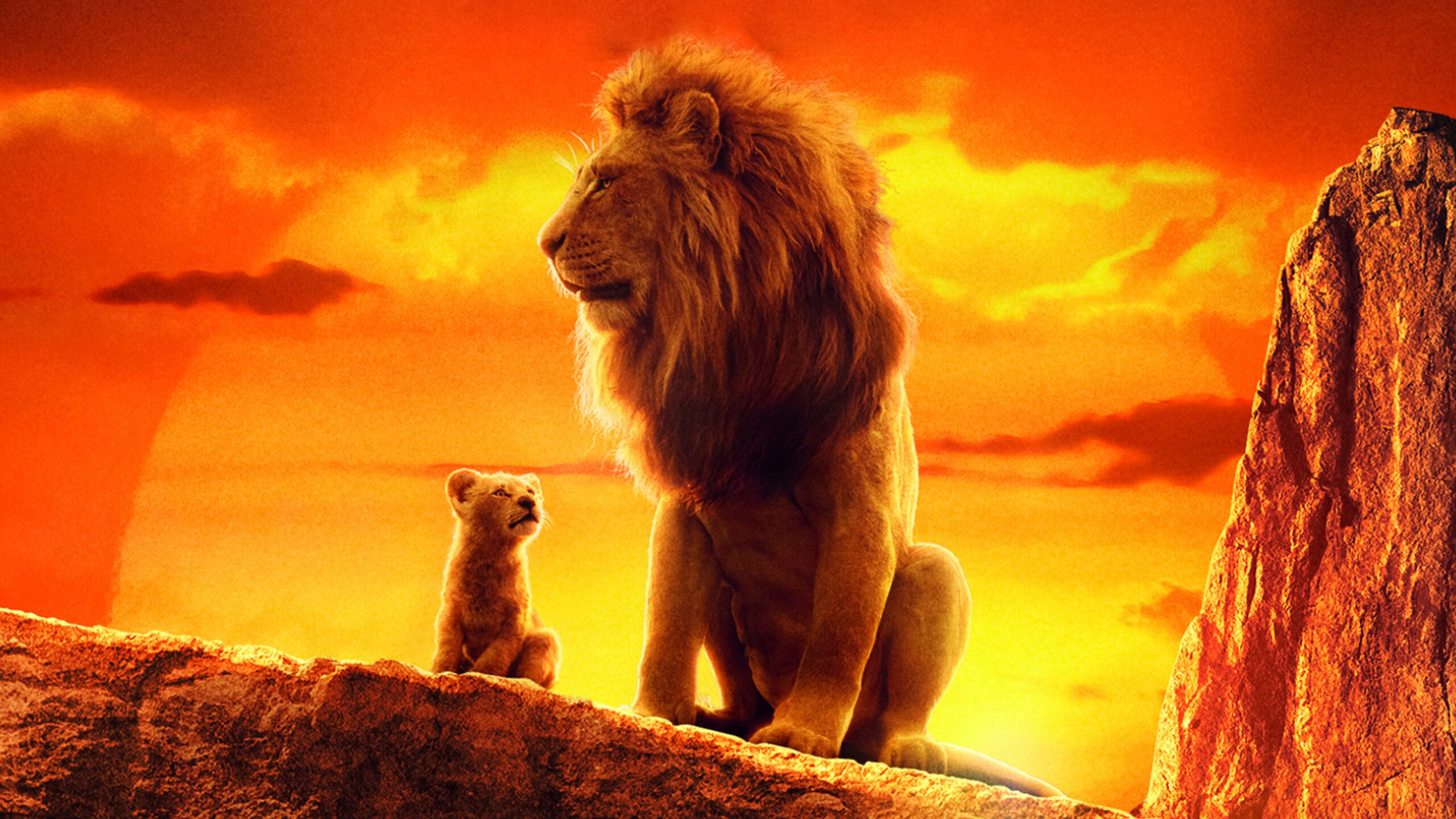 Il re leone: 5 domande a cui il prequel di Mufasa può rispondere