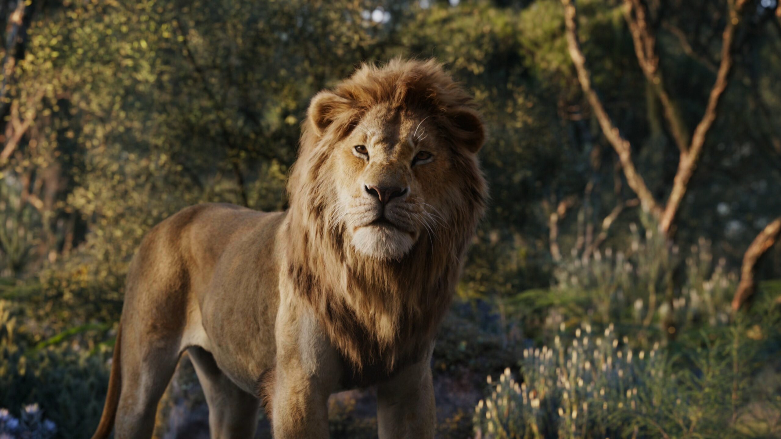 Recensione: Il Re Leone, il remake live action di Jon Favreau